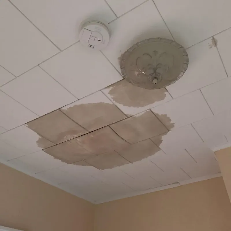 Ceiling Water Damage Repair in Hiawassee, GA