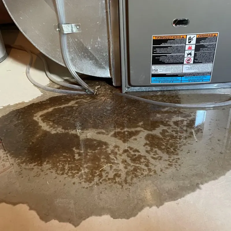 Pipe Burst and Leak Restoration in Hiawassee, GA