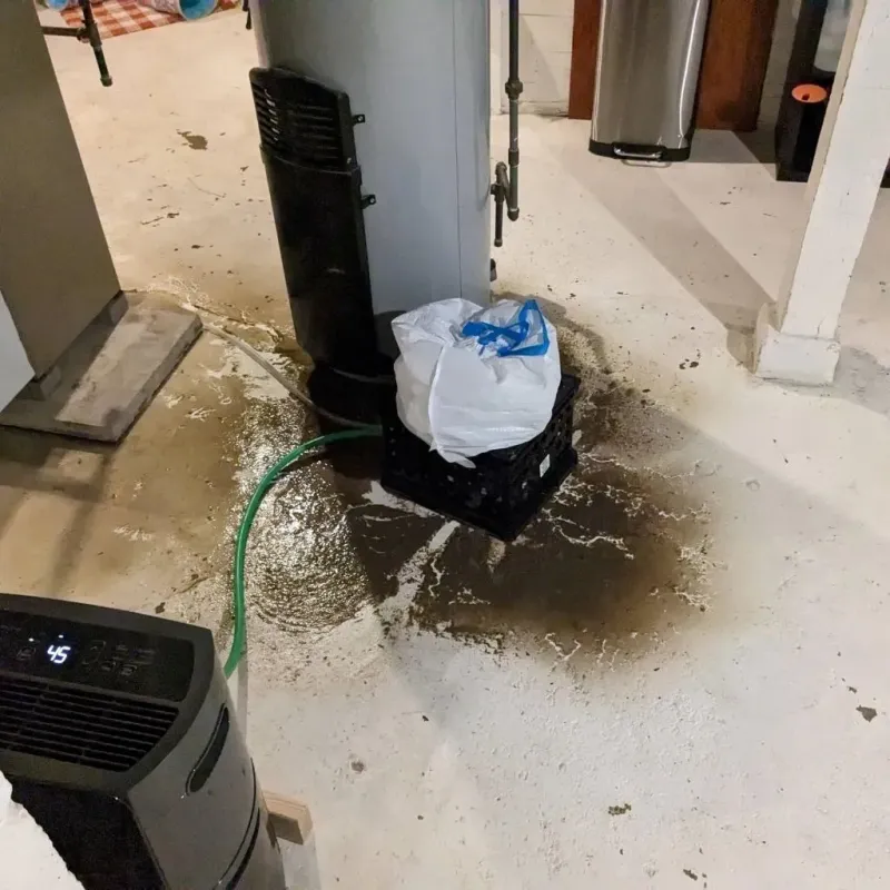Sewage Backup Cleanup Service in Hiawassee, GA